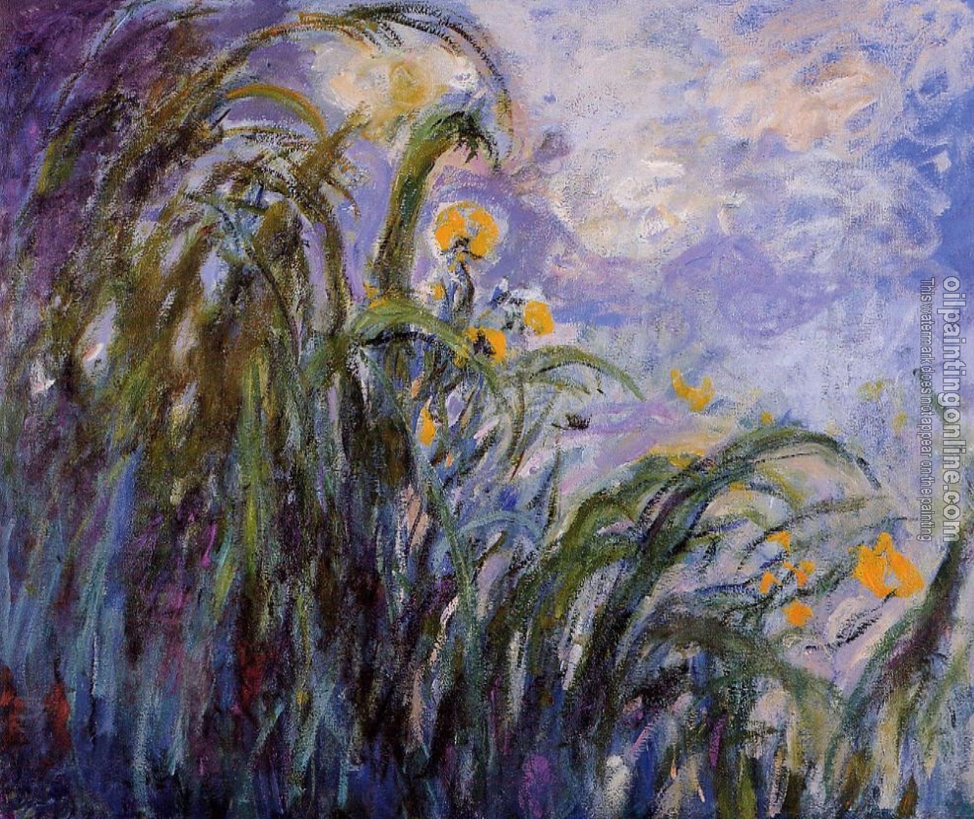 Monet, Claude Oscar - Yellow Irises